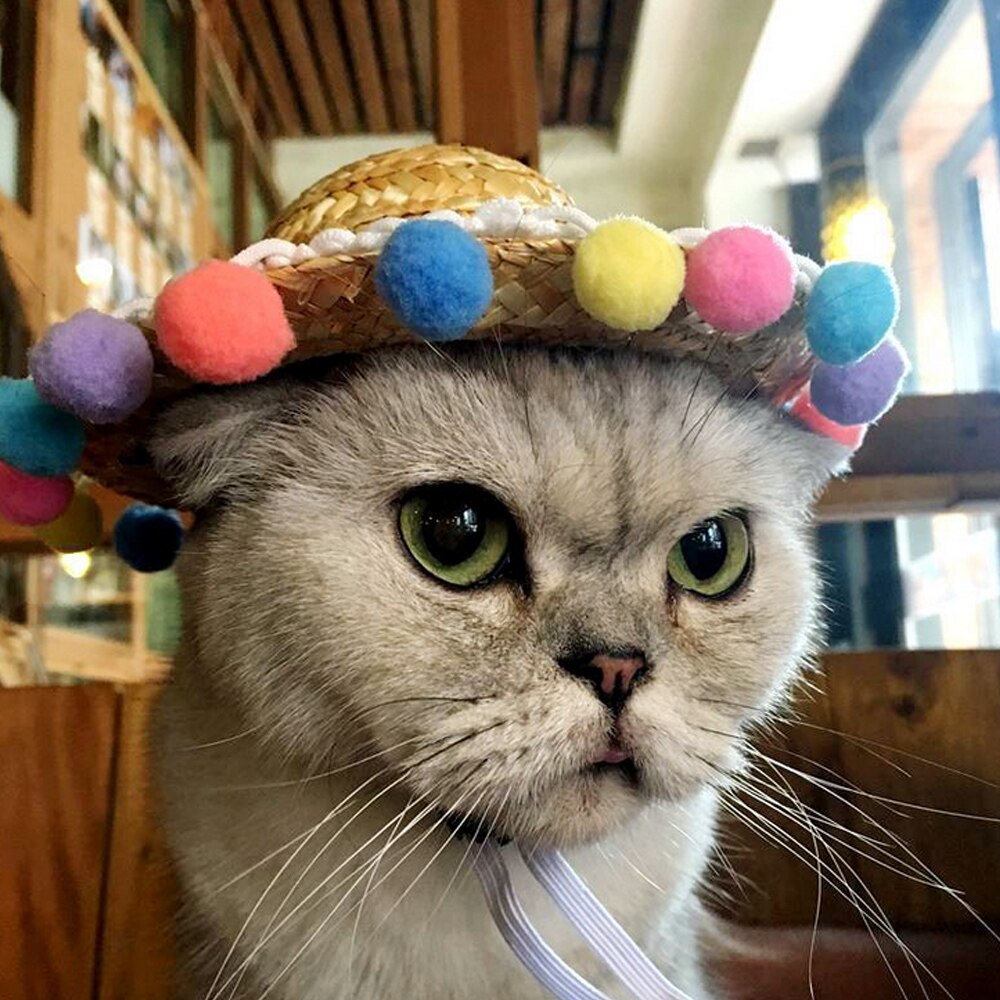 Behogar śmieszne słodkie zwierzęta domowe są słomy tkane kapelusz przeciwsłoneczny z kolorowe kulki dla małych psów kot kotek szczeniak festiwal urodziny impreza dostaw