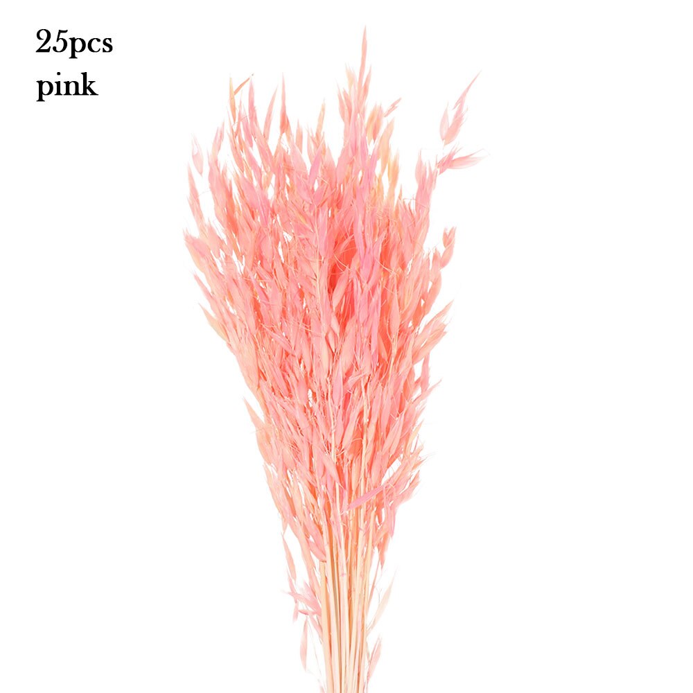 15/25 sztuk trzciny naturalne pszenicy kwiat bukiet suszone Pampas ślubny kwiat bukiet bukiety Bulrush dla Home Decor materiały ślubne: 25PCS-pink