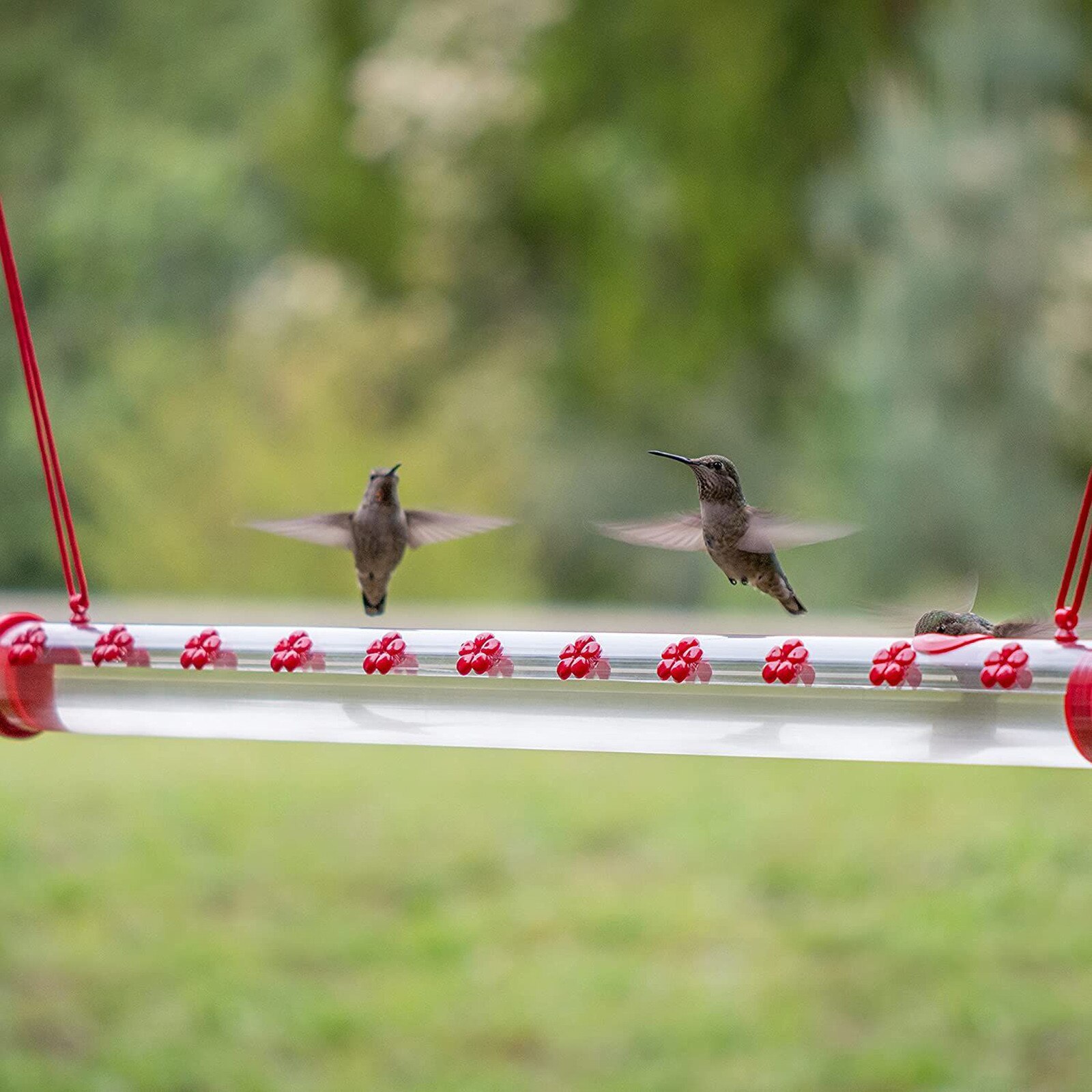 40Cm/50Cm Bob 'S Beste Hummingbird Feeder Met Gat Vogels Voeden Transparante Pijp Te Gebruiken Hogard anna 'S Beste Feeder # G35