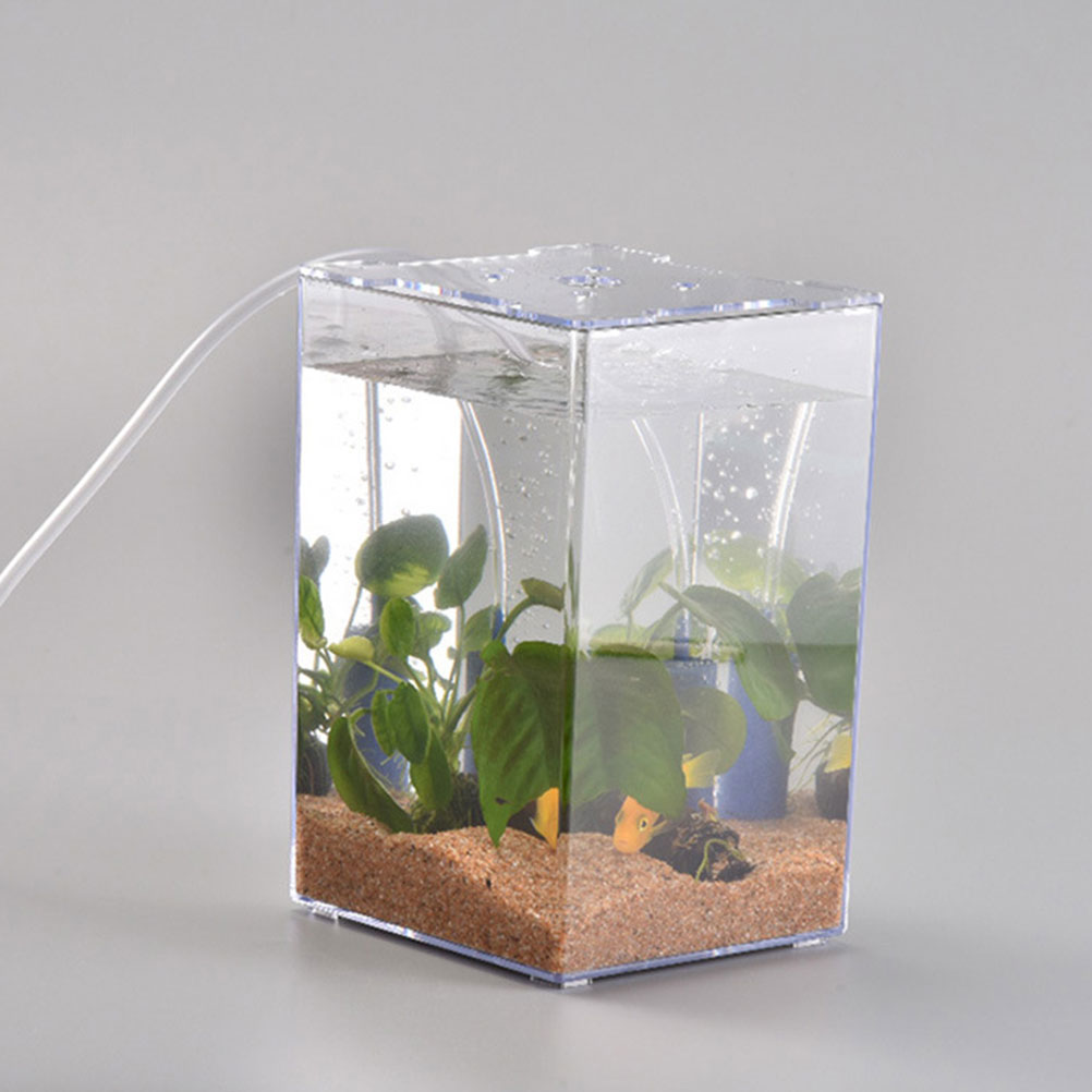 Pecera pequeña, Mini pecera, acuario pequeño, acrílico, caja de peces