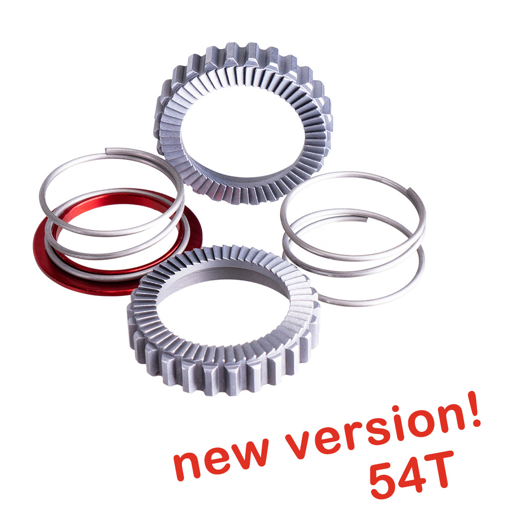 ZTTO Bicycle Hub 54T Star Ratchet SL Service Kit 54 Teeth For DT 18T Replacement 36T 60T MTB Road Bike Gear 350 240 Part: WHITE