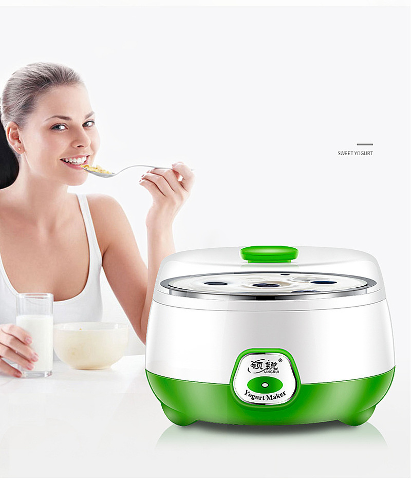 Home Automatic Yoghurt Machine Constant Temperature Fermentation Mini Stainless Steel Bladder