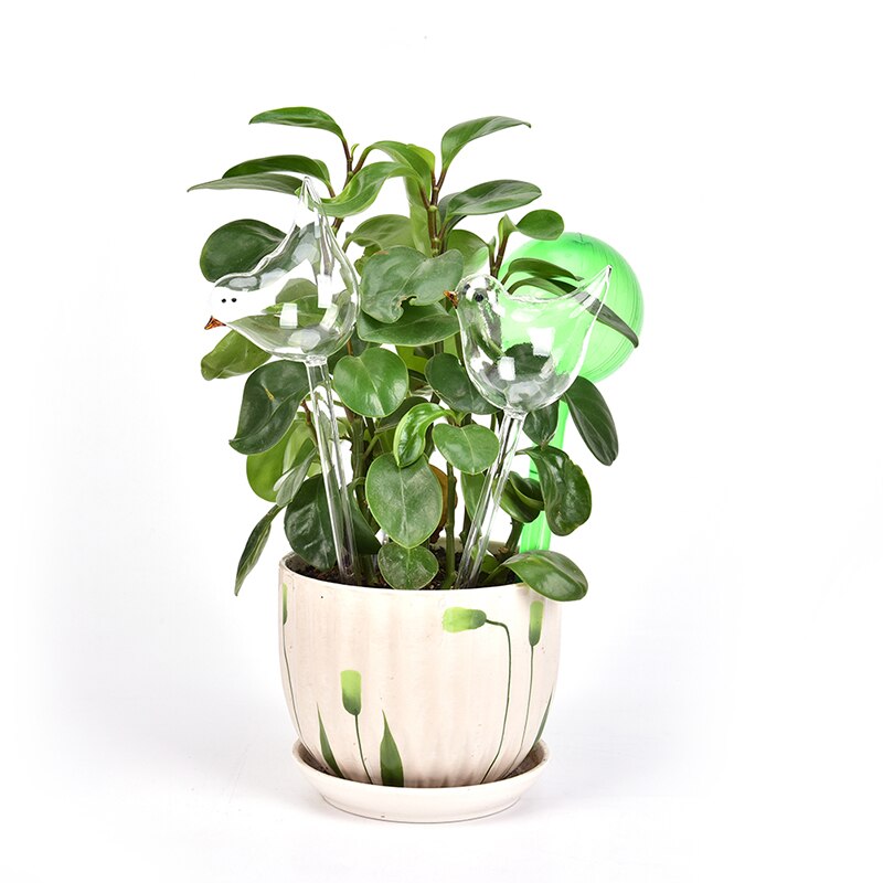 Plante vanner selvvanning jordkloder, fugl form håndblåst klart glass aqua pærer
