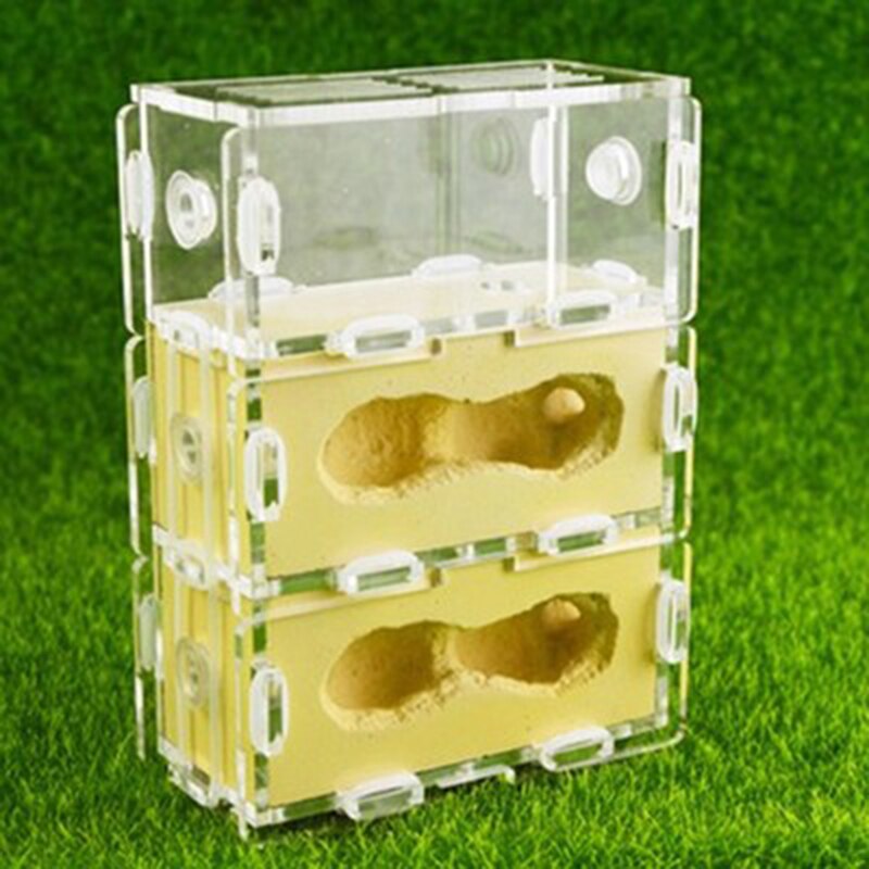 Square Acrylic Ant Plaster Nest Transparent Ant Farm Villa Insect Ornament Box