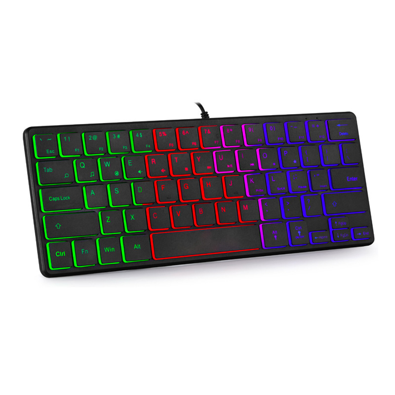 60% USB Wired Mini Keyboard 64Keys RGB Backlit Slim Gaming Keyboard Portable Ultra Thin Ergonomic Keyboard for PC Laptop Gamer: Default Title
