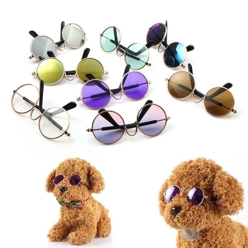 Hundekat kæledyrsbriller solbriller lille hundsøjle-fotos propspet-tilbehørforsyninger til kæledyrsprodukter kattebriller