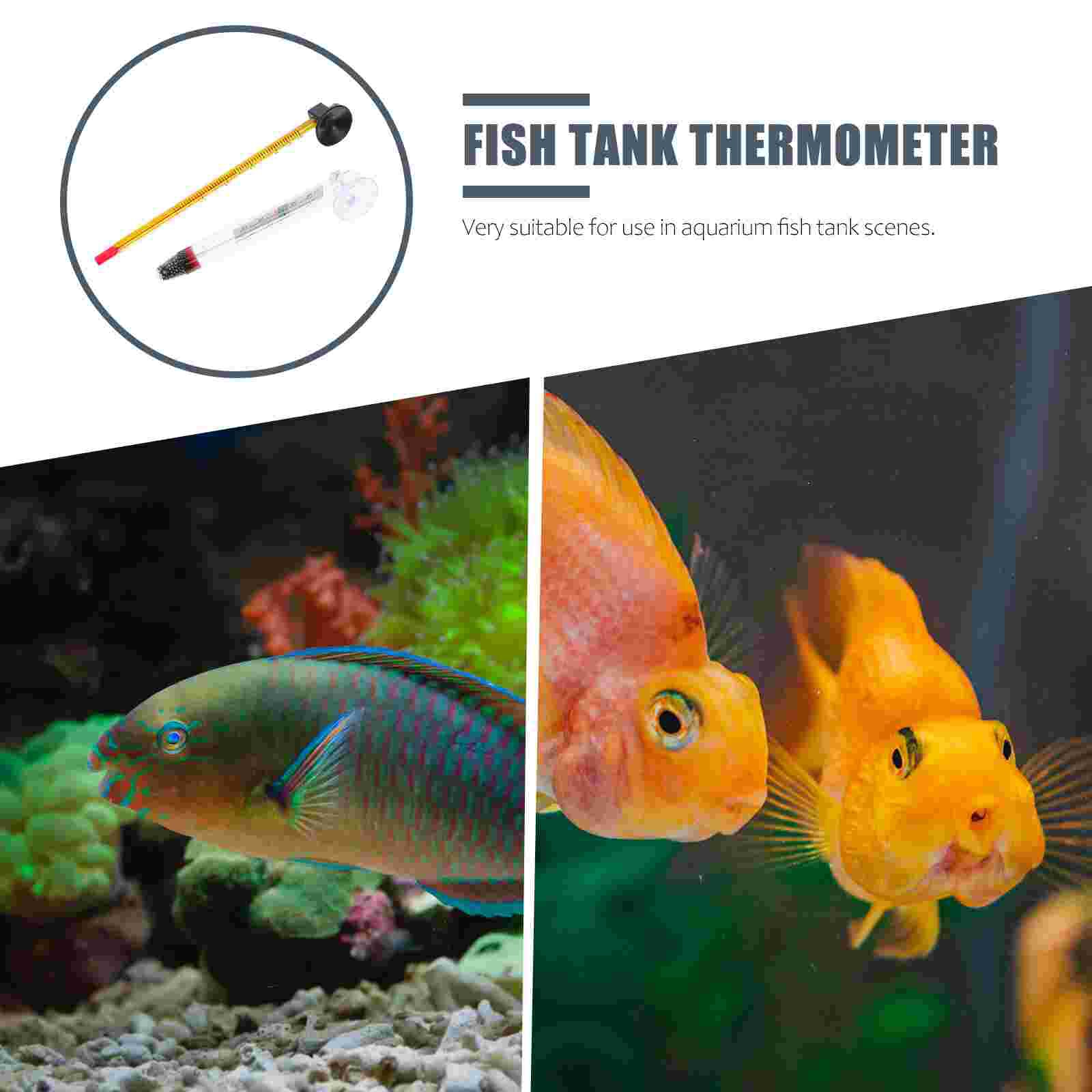 4Pcs Portable Aquarium Glass Floating for Fish Tank Aquarium Supplies