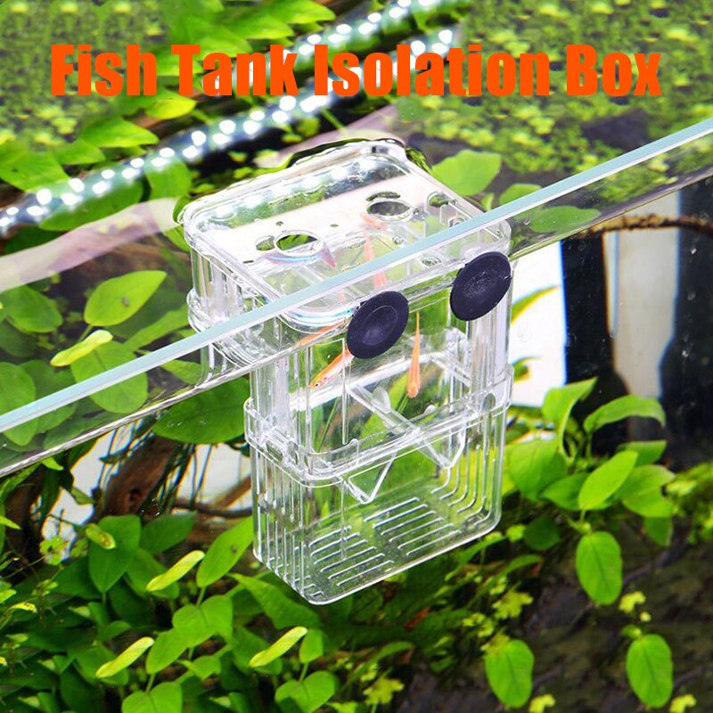 Double-layer aquarium isolation box acrylic malachite hatching box ornamental fish fighting fish breeding box
