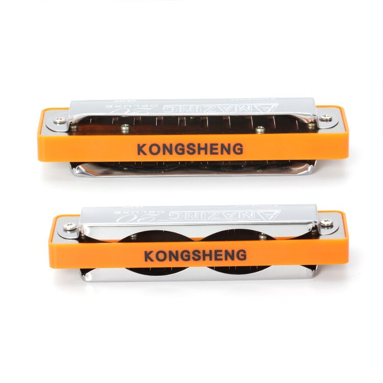 Diatonic Harmonica - 10 Hole Blues Harp - C Key - Phosphor Bronze Reeds - Stainless Steel Cover
