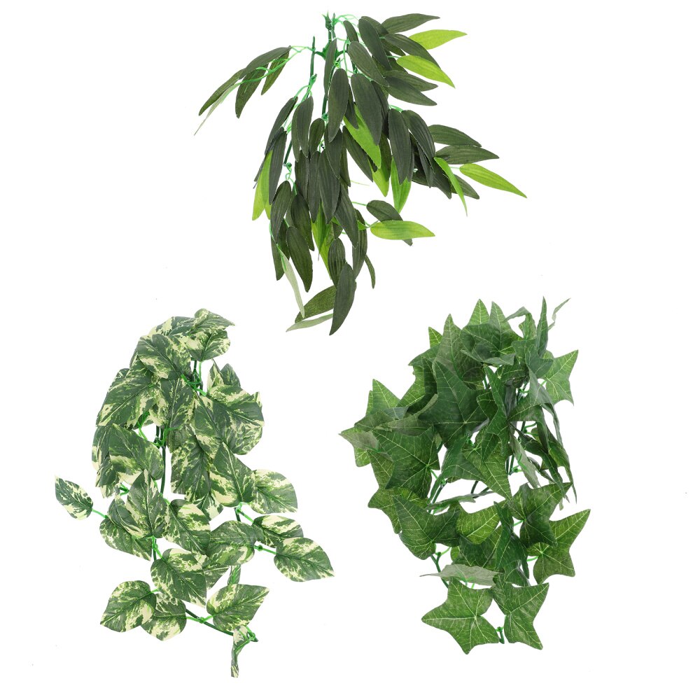 Zuignap - Aquariumplanten kopen? | Korting tot 33