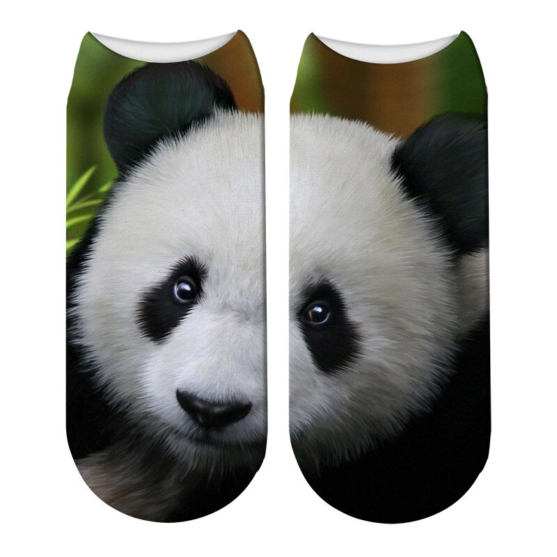 Schattige panda bedrukte sokken korte dieren damessokken terreur nieuwigheid sokken lage enkelsokken 5 zws 69: Stijl 4