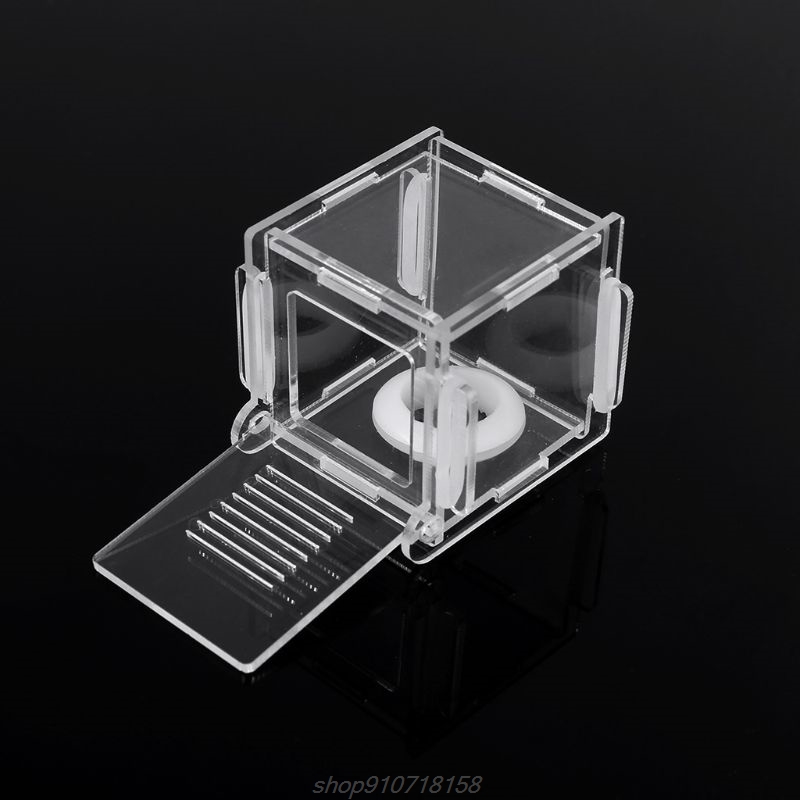 Formicaio nido di vetro mini nido di formica con zona attiva insetto casa formica acrilica fattoria M12 21 Dropship