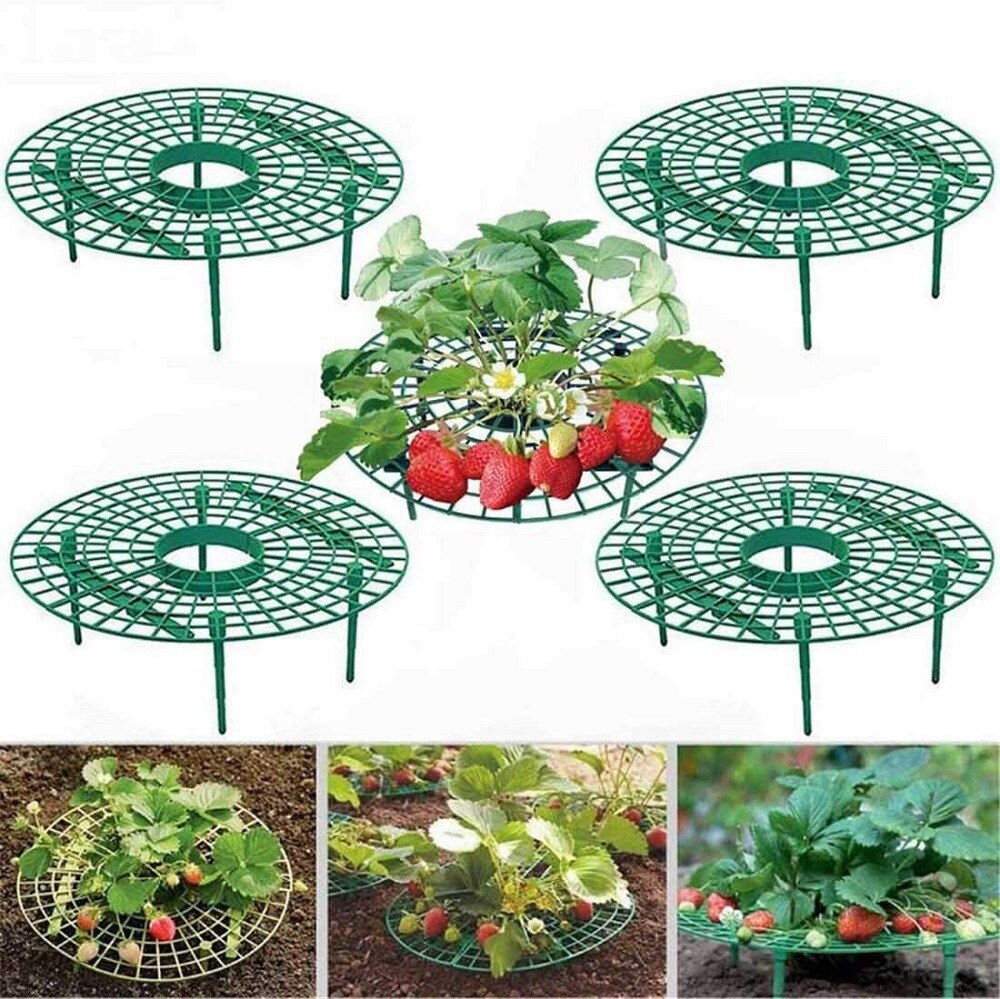 1/3/5 stk jordbær stativ rammeholder balkong plantestativ frukt støtteplante blomst klatring vintre søyle hagearbeid stativ