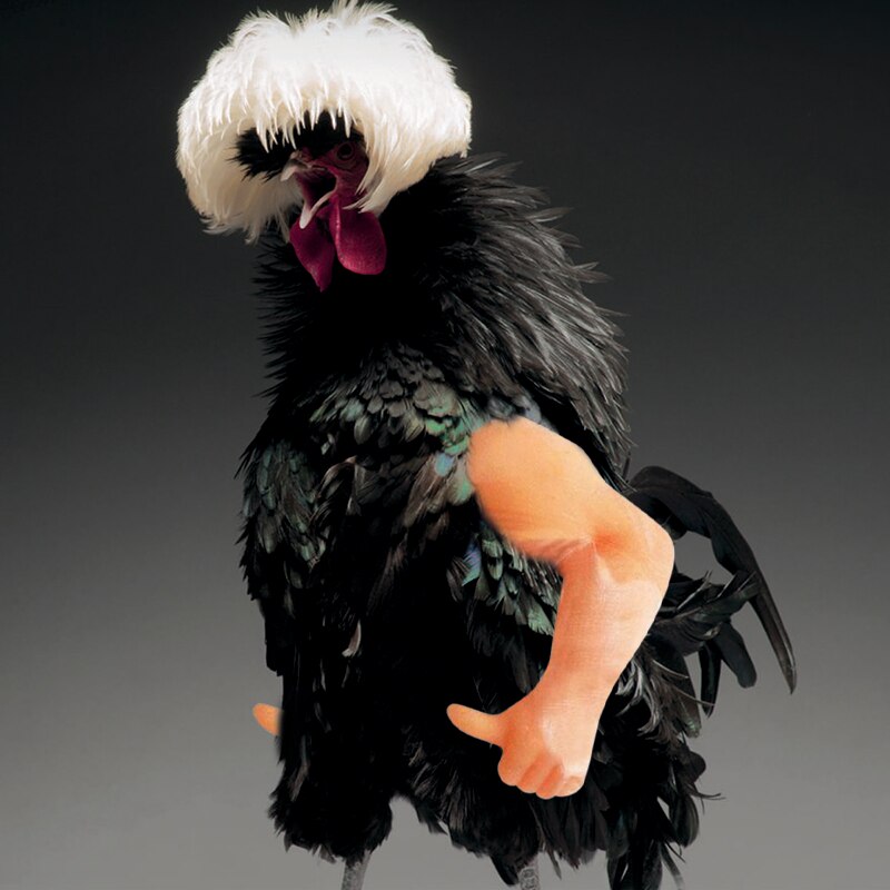 Chicken Arm Toy Gag Chicken Arms Props Chicken Forelimb Decoration Spoof For Pet Themed Party Farm Animal Supplies