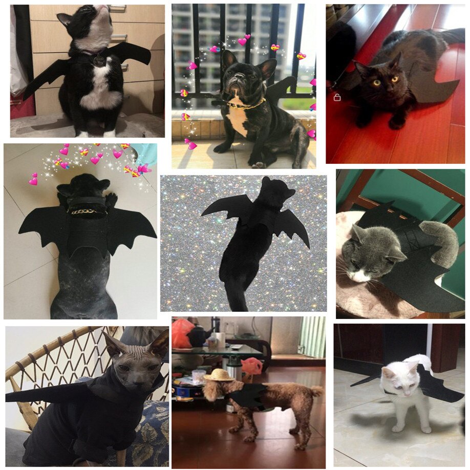 Rolig halloween husdjur fladdermus vingar katt fladdermus kostym för husdjur katter cool valp katt kattunge valp hundar fladdermöss husdjur fest dekoration