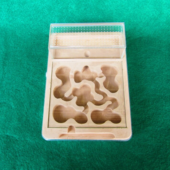 Acrylic Ants Farm Ant Formicarium Box Acrylic Plaster Combo Ant Colony Nest Small Pet Cages HW238