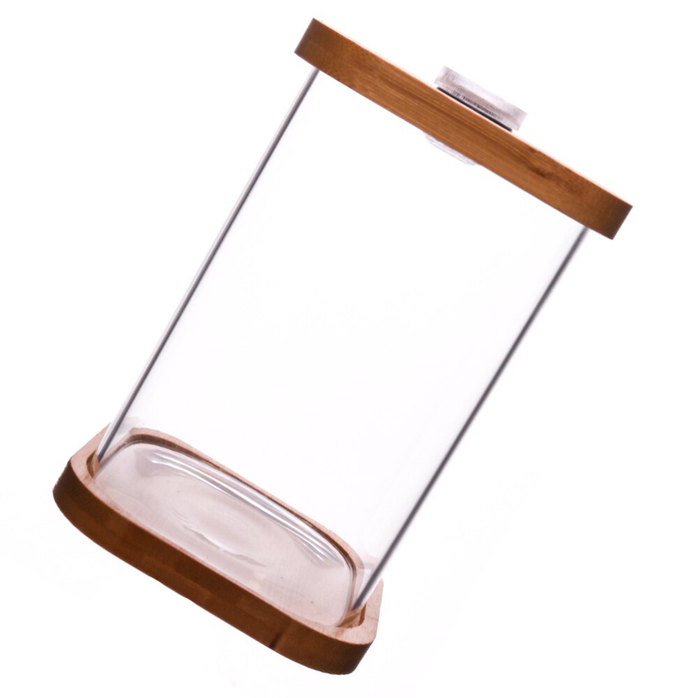 Mini Aquarium carré en verre, 1 pièce, Base en bambou