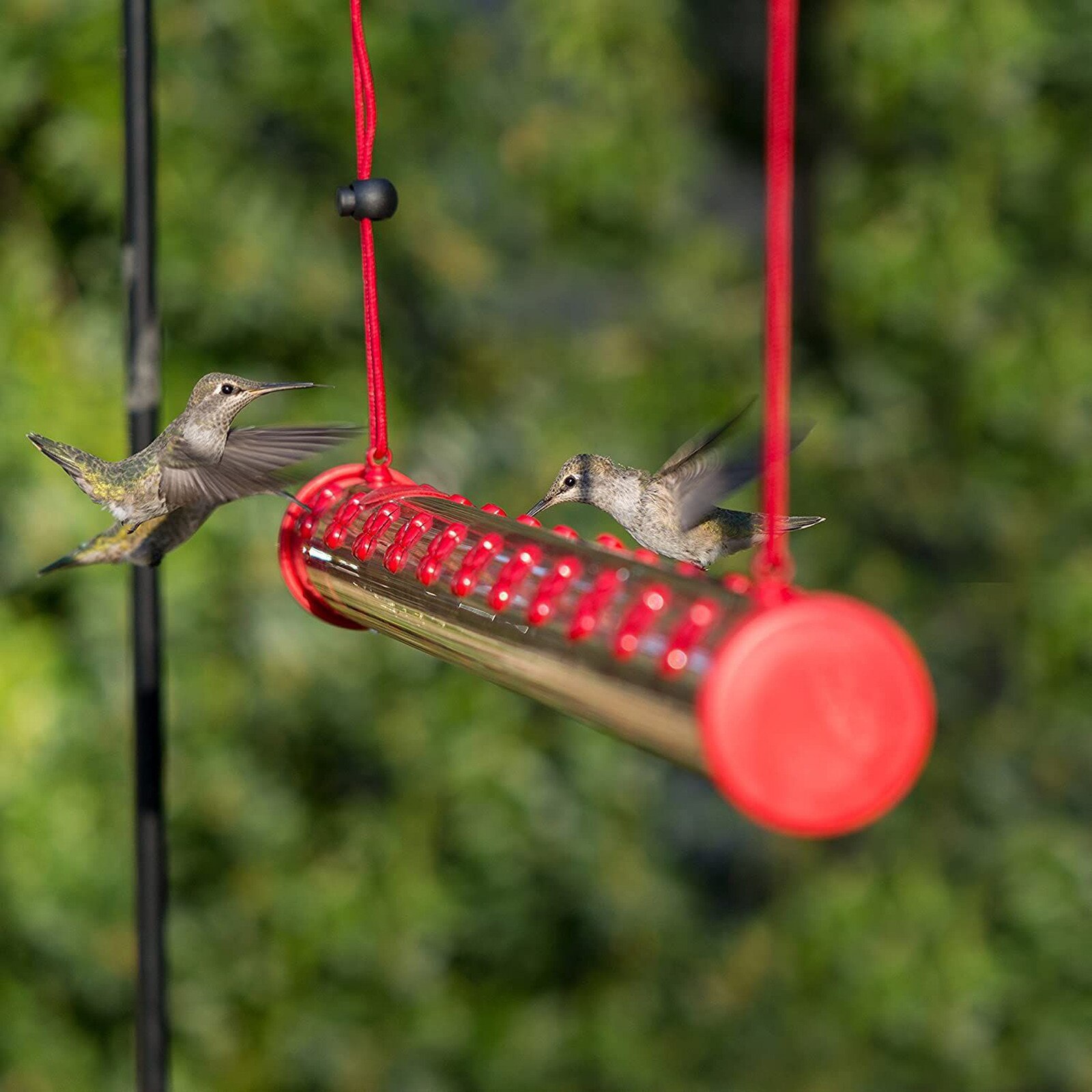 40Cm/50Cm Bob 'S Beste Hummingbird Feeder Met Gat Vogels Voeden Transparante Pijp Te Gebruiken Hogard anna 'S Beste Feeder # G35