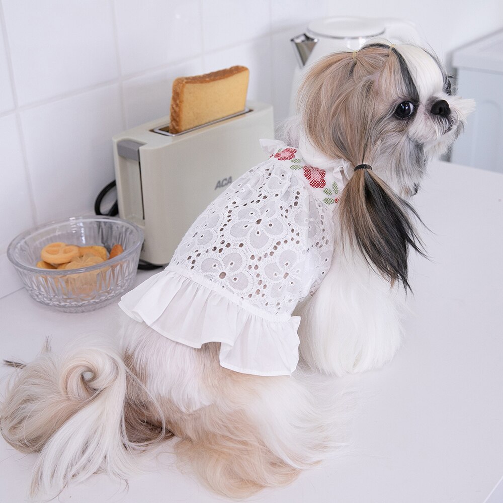 Vestido blanco con Falda bordada para perro, ropa – Grandado