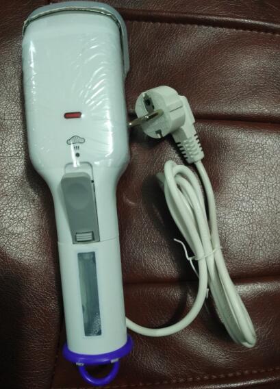 220V 650W 2108 steam brush with Europe standard plug