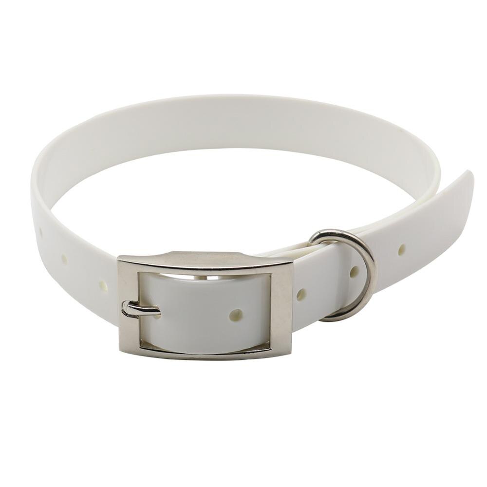 Grote Hond Kraag Verstelbare Tpu Duurzaam Waterdicht Huisdier Halsband Voor Puppy Strap Pure Kleur Hond Accessoires: White / S