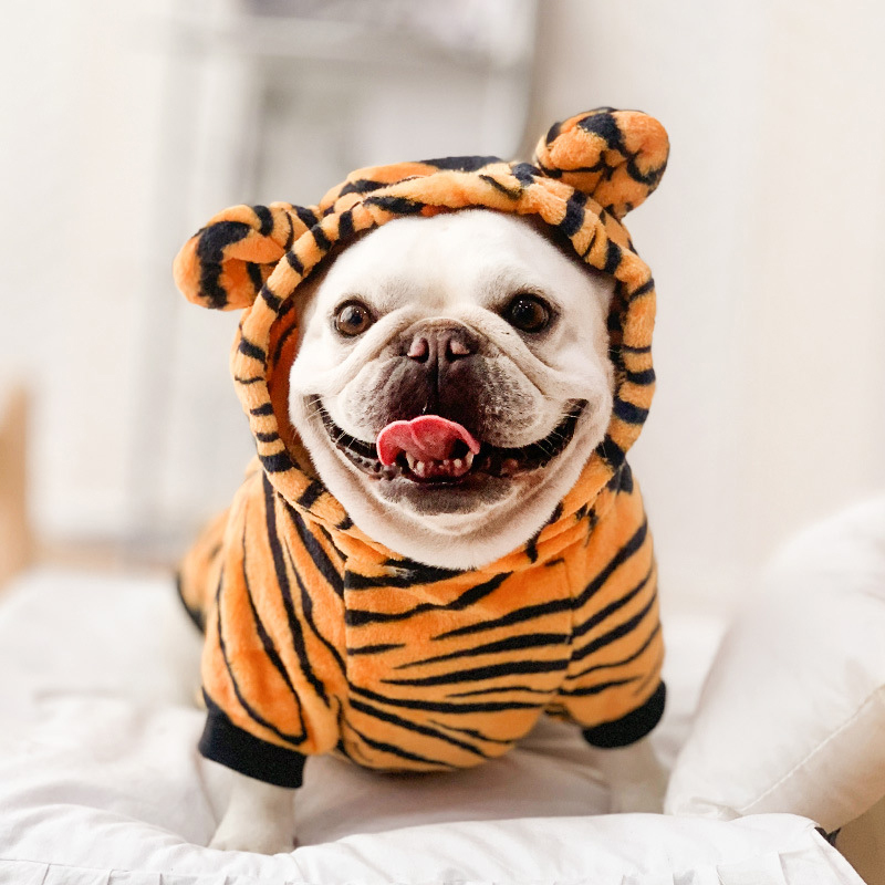 Zimowe ubrania dla psów Ciepłe polarowe bluzy z kapturem dla małych psów Chihuahua Puppy Cats Kurtka Płaszcz Kombinezon dla psa Kostium