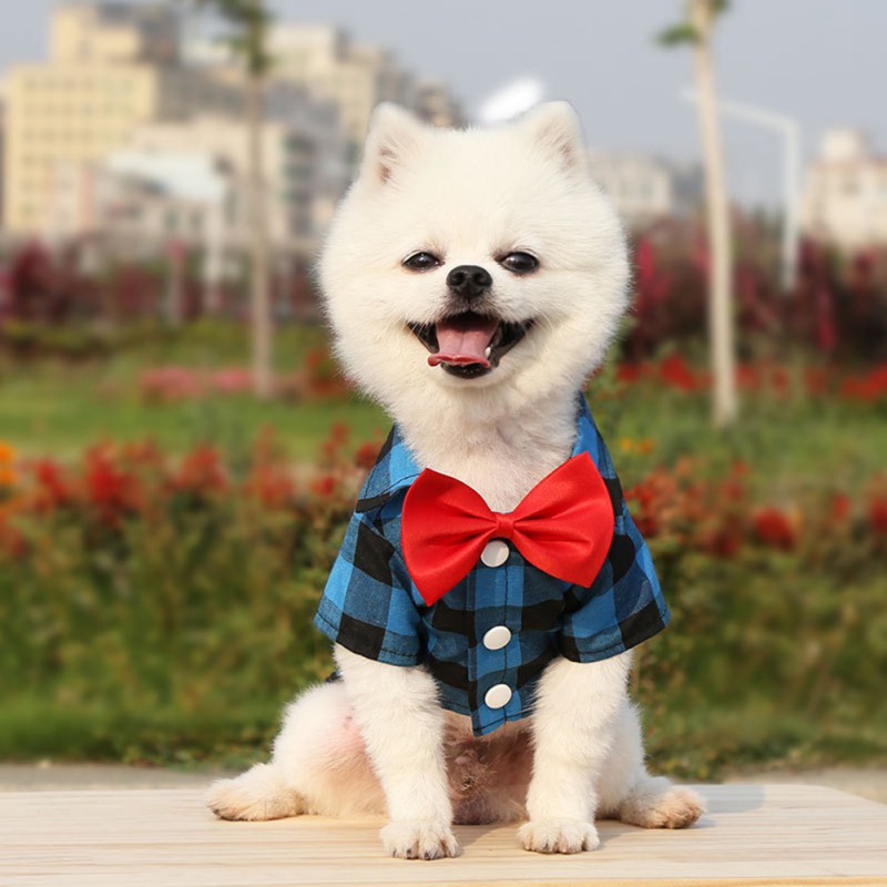 Costume à carreaux avec nœud papillon pour chien, T-Shirt d'été à manches courtes pour petit et moyen gabarit, Costume de mariage pour chiot