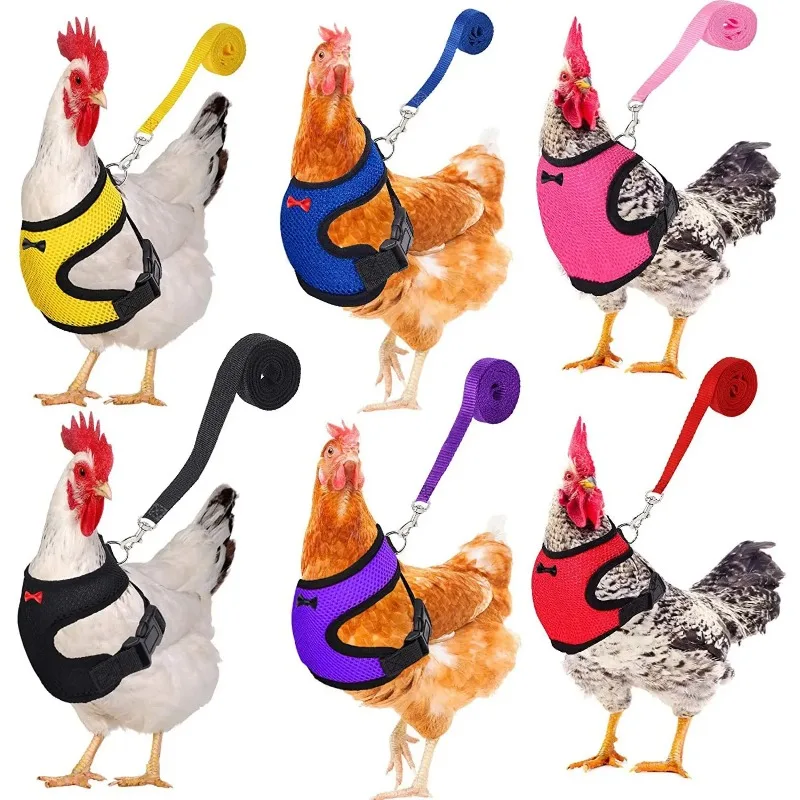 Pet Adjustable Harness Leash for Chicken Puppy Comfortable Breathable Pet Vest for Small Dogs Duck Goose Training Accessories
