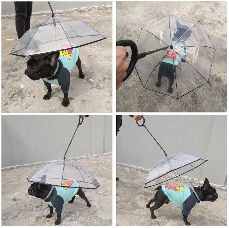 Parapluie pour animaux de compagnie Transparent chien c-type parapluie fournitures pour animaux de compagnie réglable pluie jour Hyena Traction corde parapluie inverse
