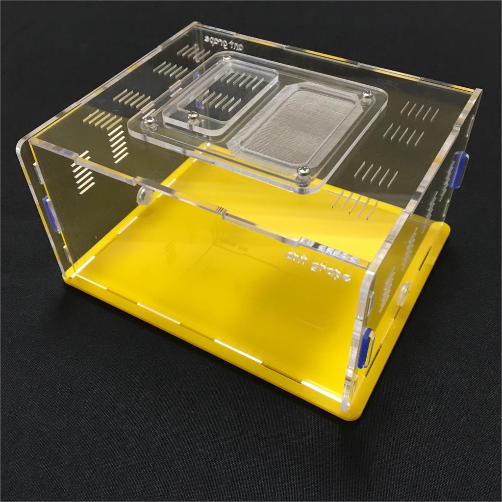 ant-grape series L size ant nest active area ,ant farm acryl, insect nests villa pet advanced mania for house ants: yellow