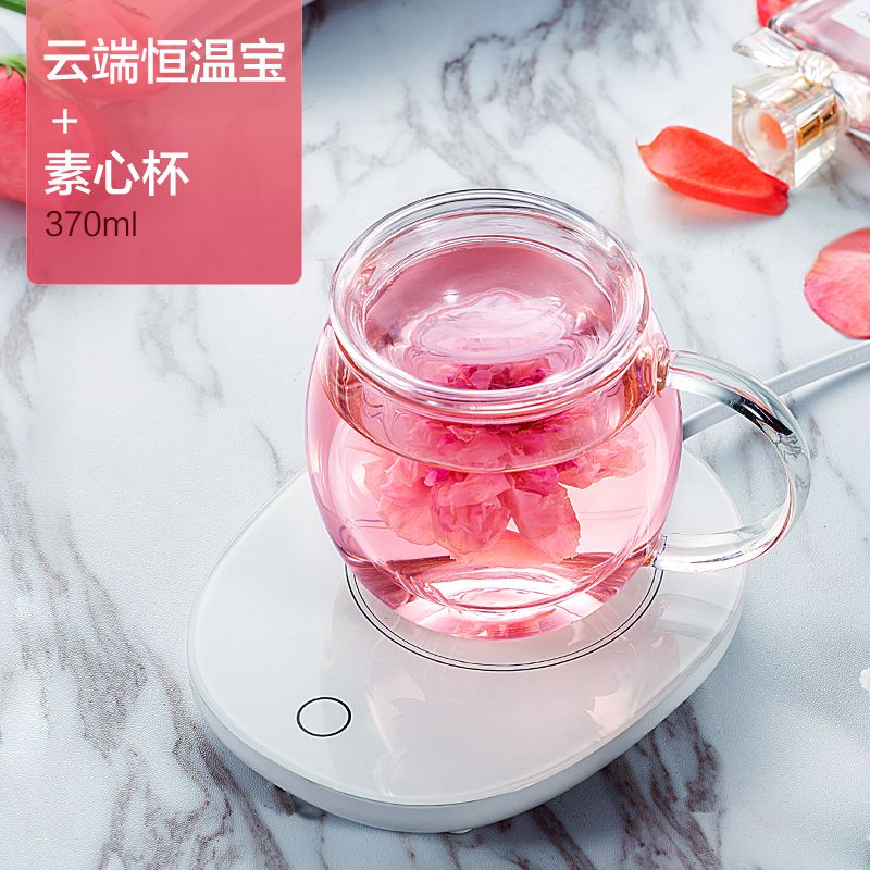 Handcraft-tetera eléctrica de cristal resistente al calor, Filtro de vidrio, calentador de temperatura constante, tetera eléctrica, combo de tazas: 370ml teapot stove