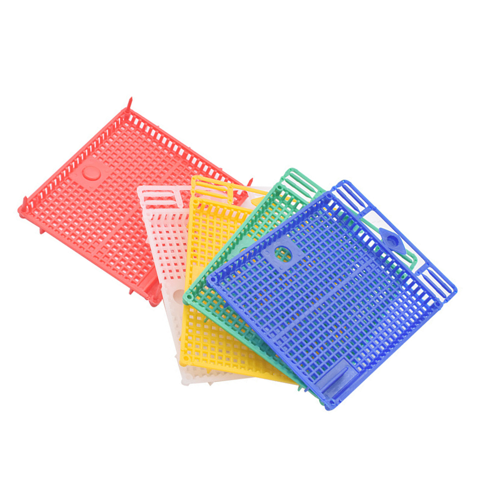1PCS Intrudction Frame Kooi Om Kolonie Druk In Kam Grote Ruimte Val Koningin Tegen Isoleren Plastic Bijenteelt tool Levert