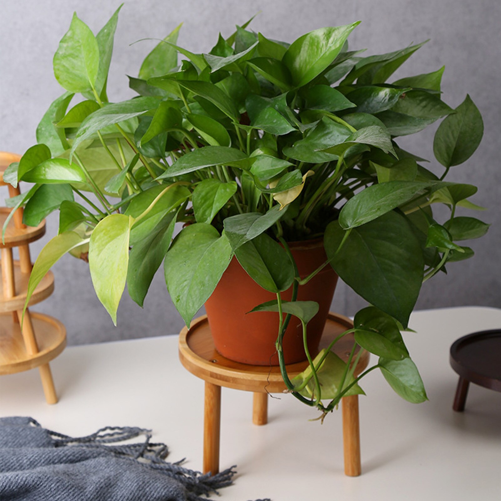 Plant Stand Flower Pot Stand Indoor And Outdoor Round Garden Flower Pot Display Desktop Living Room Potted Base Decor