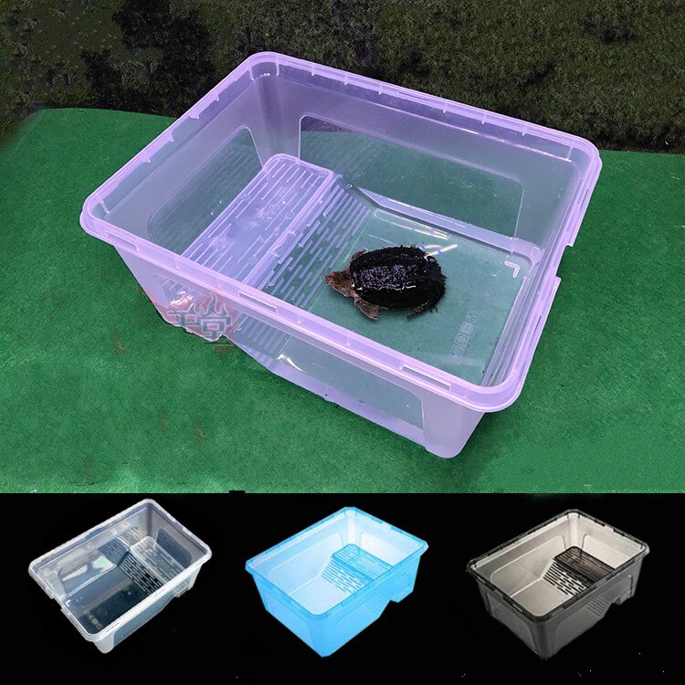 1PCS with drying table turtle tank feeding box transparent plastic large trumpet large Brazilian grass living basin