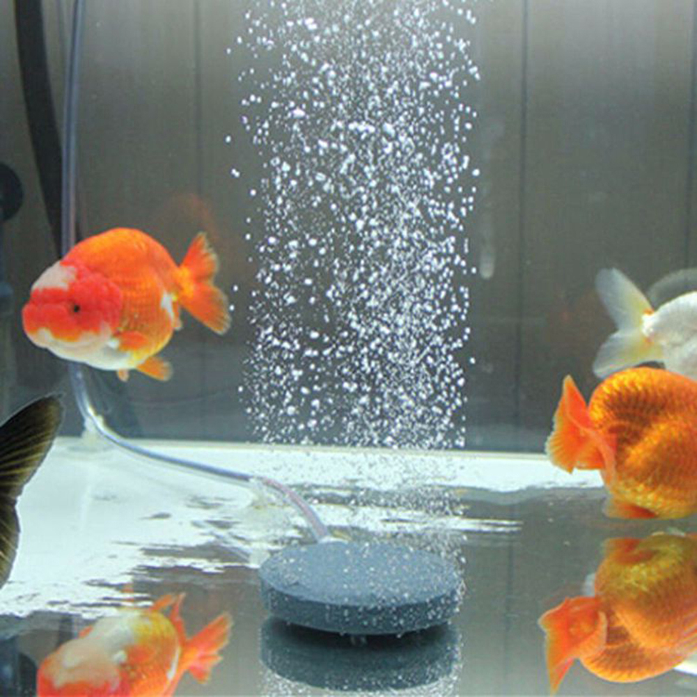 Acuario con burbujas de aire, piedra para pecera, placa difusora de oxígeno hidropónico, suministros para mascotas, 10/13/20cm, 1 unidad