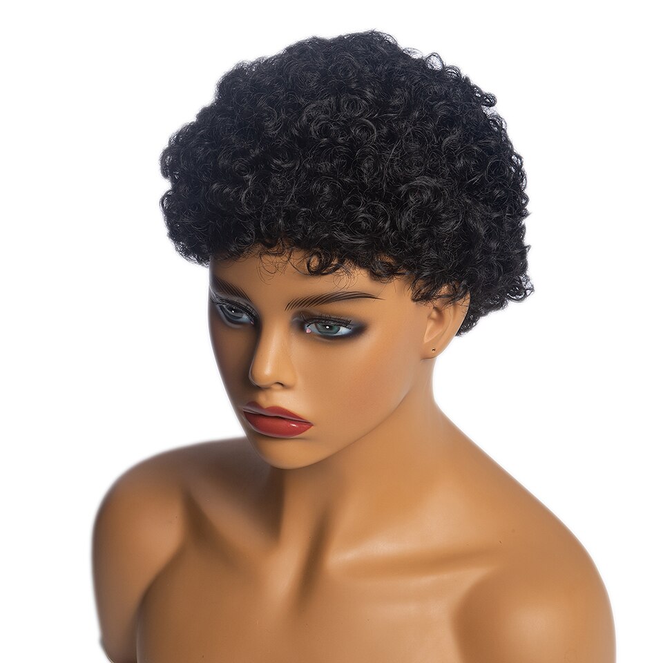 GAKA Short Afro Kinkly Curly Synthetic Wigs for Africa American Black Women Pixie Cut Natural Brown Wig