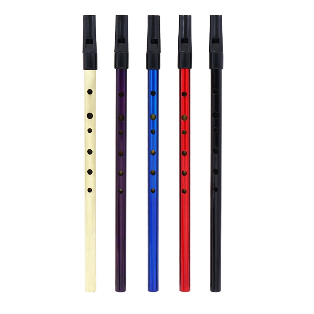 IRIN Fluitje Fluit Feadog Tin Fluitje Feadan D Flauta Pennywhistle Ierland Mini Wind Muziekinstrument Pocket 6 Gat Beginner