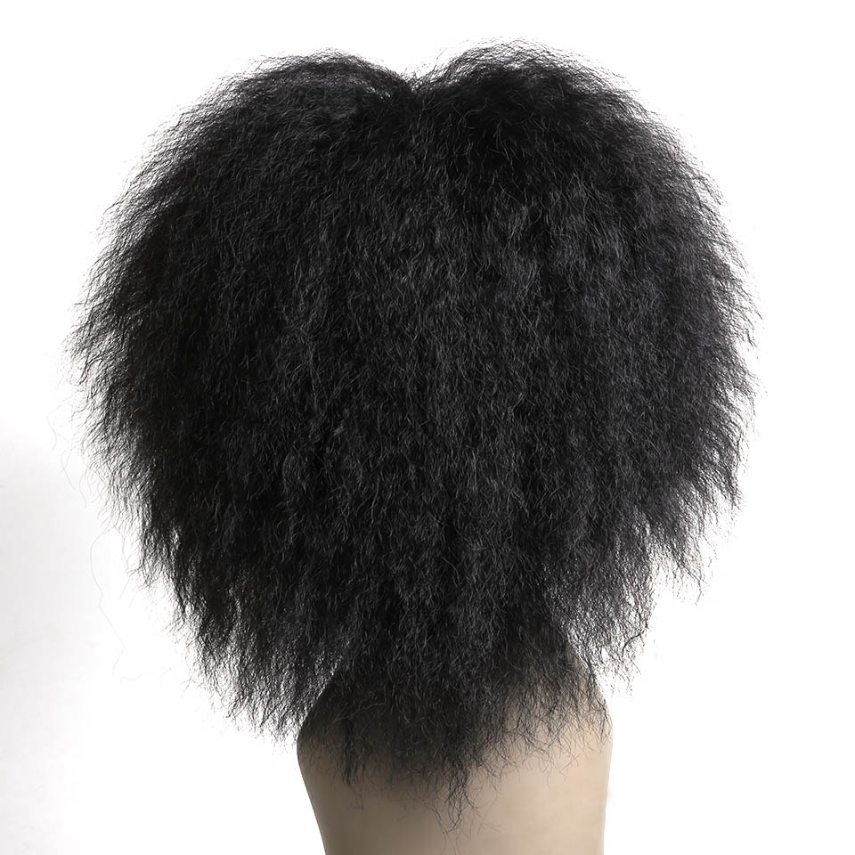 WTB Natural Short Afro Kinky Curly Synthetic Wig for Women High Temperature Fiber Wigs