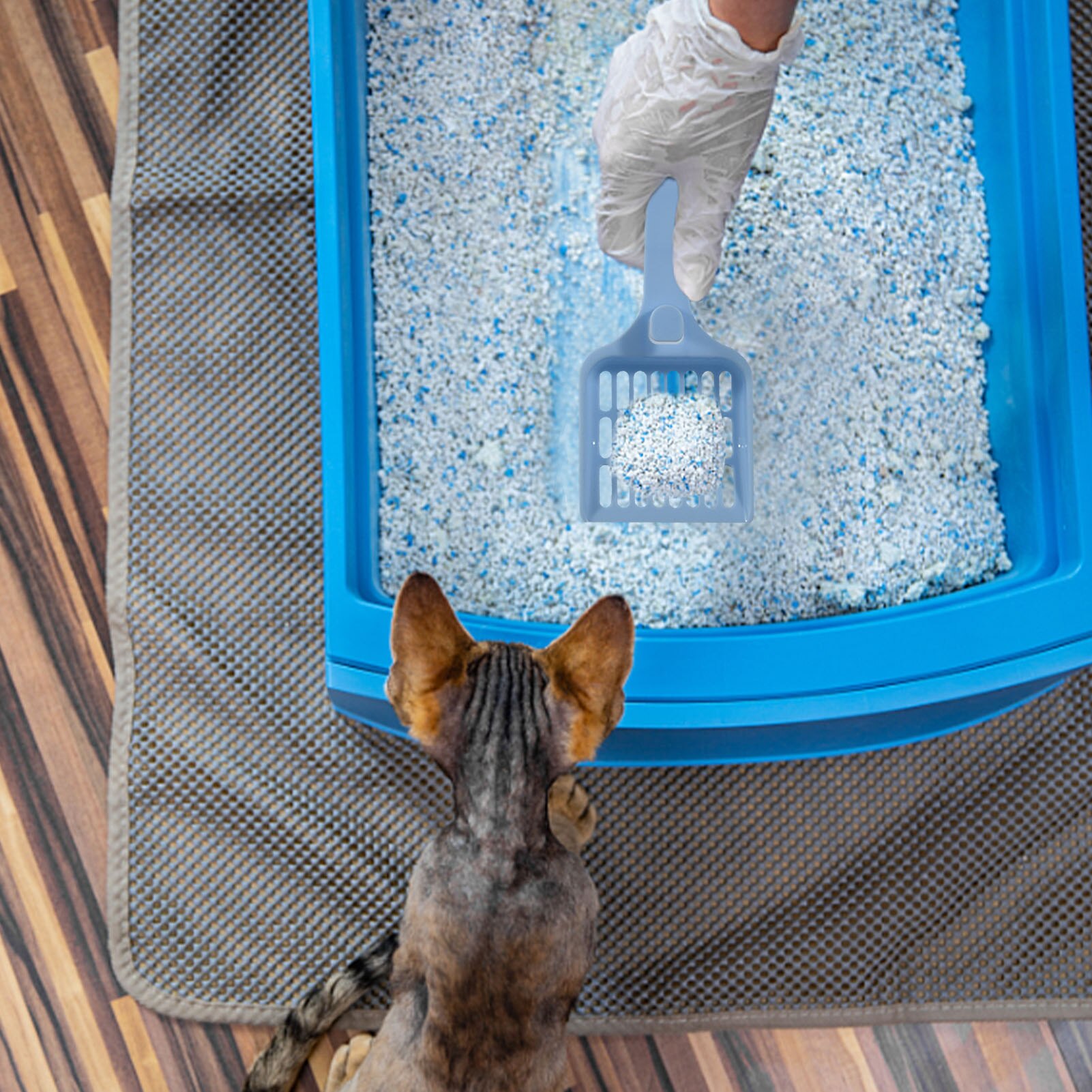 Lettiera per gatti setaccio per lettiera paletta per animali domestici raccoglitore per lettiera per gatti gancio per paletta integrato conveniente durevole in plastica per animali domestici