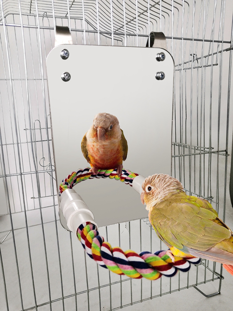 Fugle papegøje legetøj tygge bid hængende bur svinge klatre reb spejl legetøj fuglestande kæledyr tilbehør