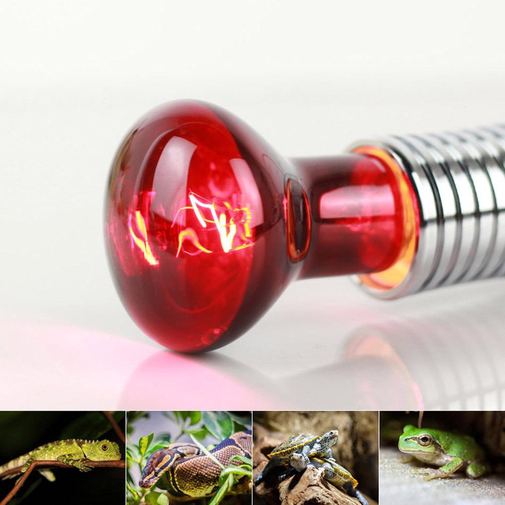 E27 Reptile Huisdier Verwarming Gloeilamp R63 Infrarood Keramische Emitter Lamp Lichten Habitat Verlichting Voor Huisdier Broedmachine Levert