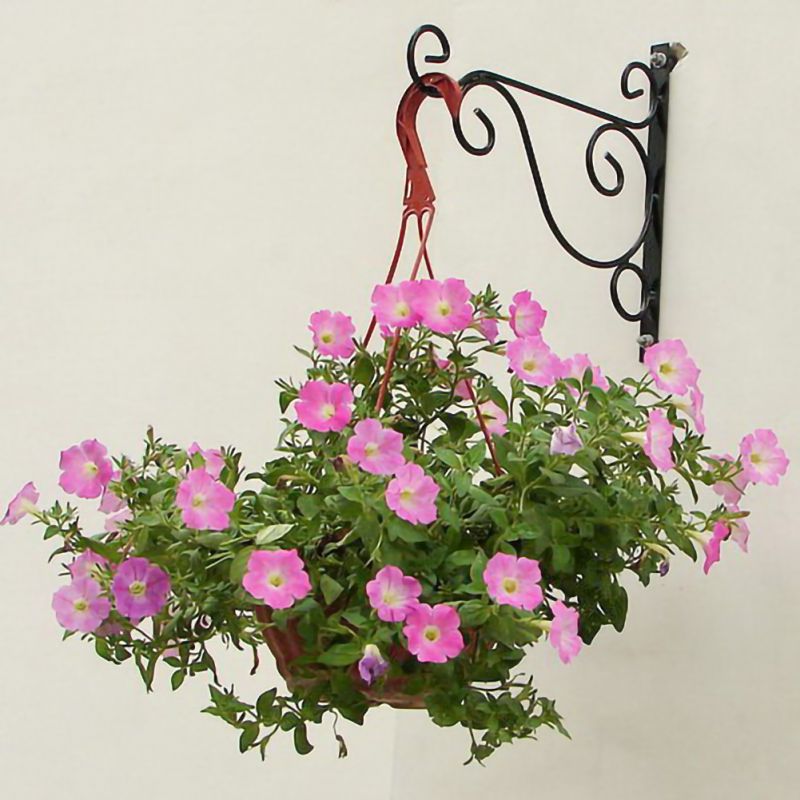 Hage dekorasjon europeisk stil balkong plante blomsterpotte smijern kroker holder veggmontert hengende kurv brakett