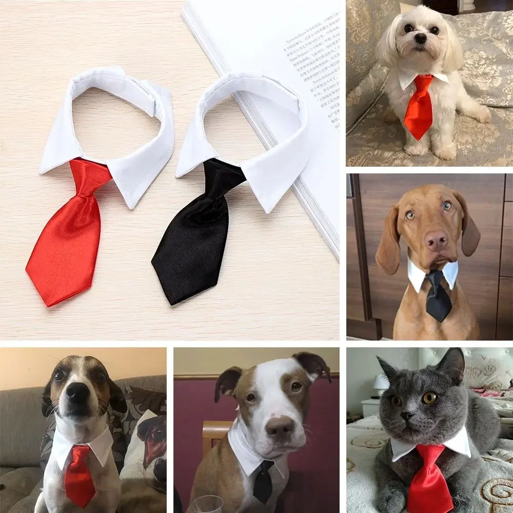 Noeud de smoking officiel pour animal de compagnie, collier noir et rouge pour chien et chat, accessoires pour animaux de compagnie, mariage, , de fête