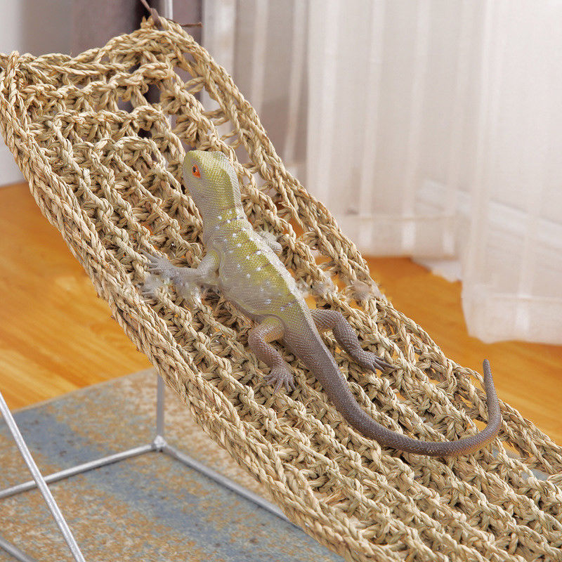 Reptil plattform hängmatta ödla solstol hängmattor geckos hängande nät tank dekor