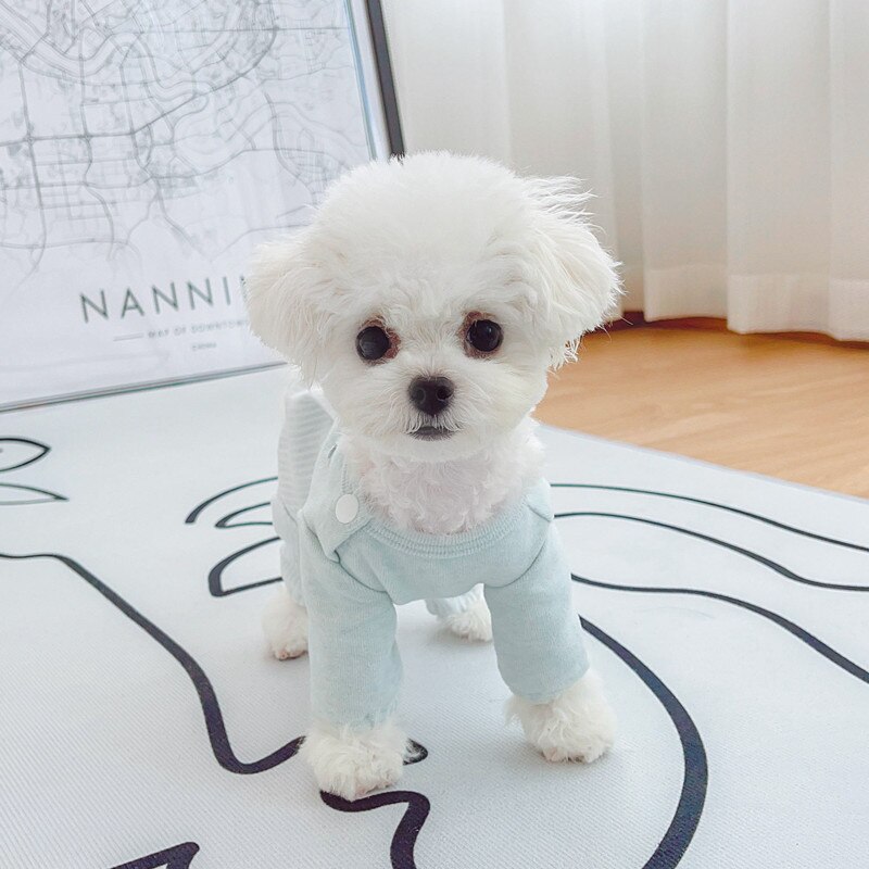 Girl Dog Pajamas Spring Pet Jumpsuit Puppy Small Dog Overalls Outfit Chihuahua York Pomeranian Maltese Shih Tzu Poodle Clothes