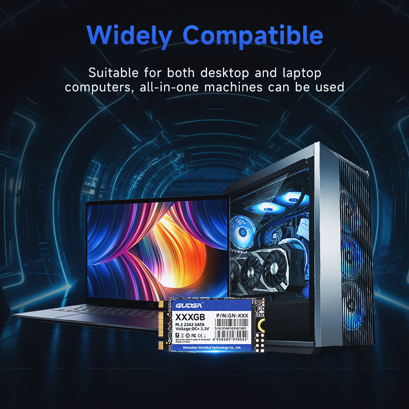 GUDGA M2 SATA 2242 SSD SATA3 128 GB 256 GB 512 GB NGFF Interne Solid-State-Festplatten TLC für Laptop Destop Thinkpad
