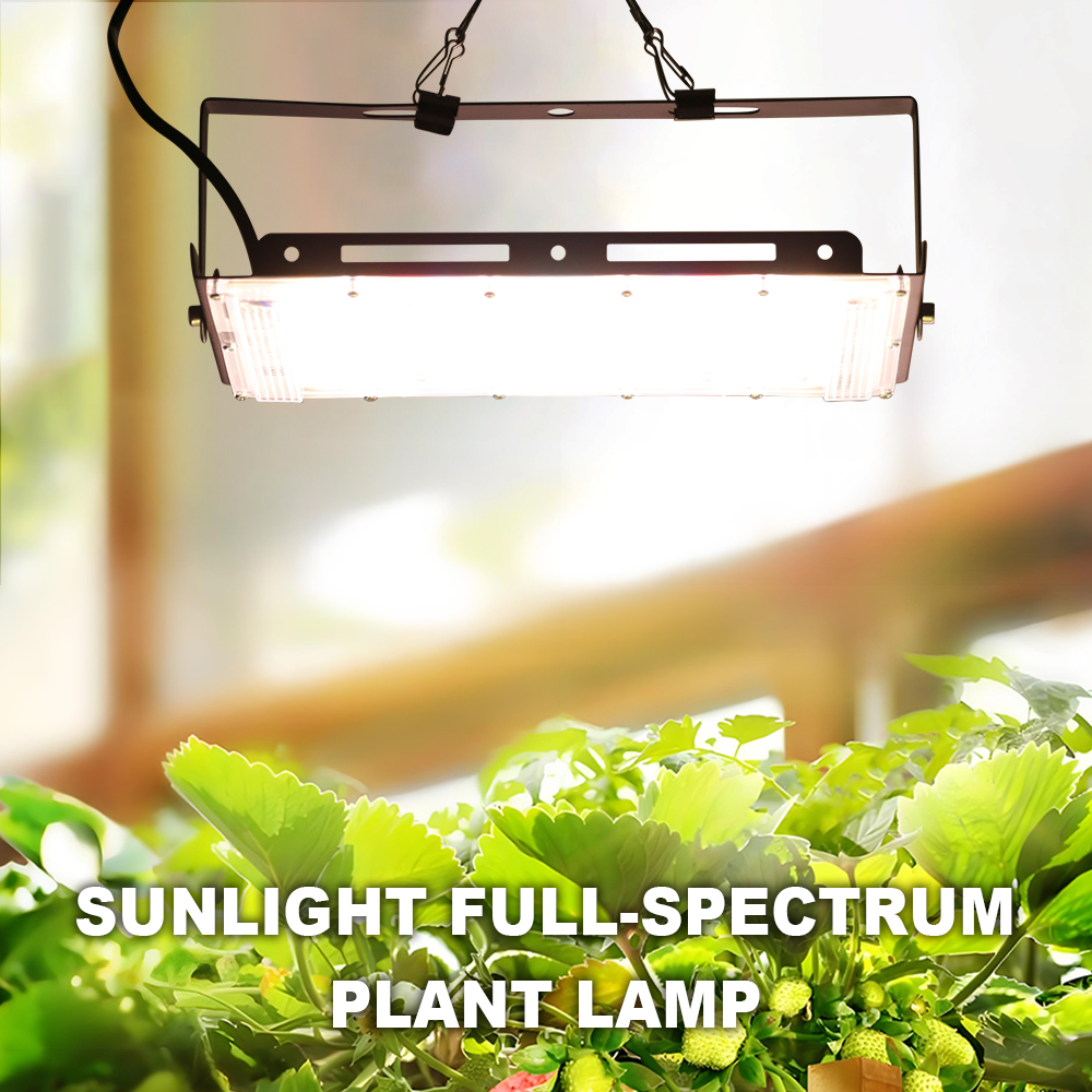 Phytolamp Für Pflanzen LED 220V Flutlichter Vollspektrum Hydrokultur-Anbausystem LED-Wachstumslampen 50/96/144 LEDS Pflanzenbeleuchtung