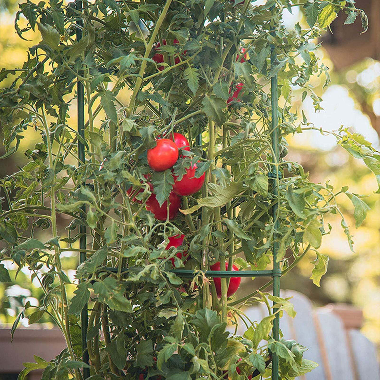 Connecteurs en treillis extensibles réutilisables pour jardin, 12 pièces, outils, Cages à tomates, bras, bielle réglable en plastique pour légumes