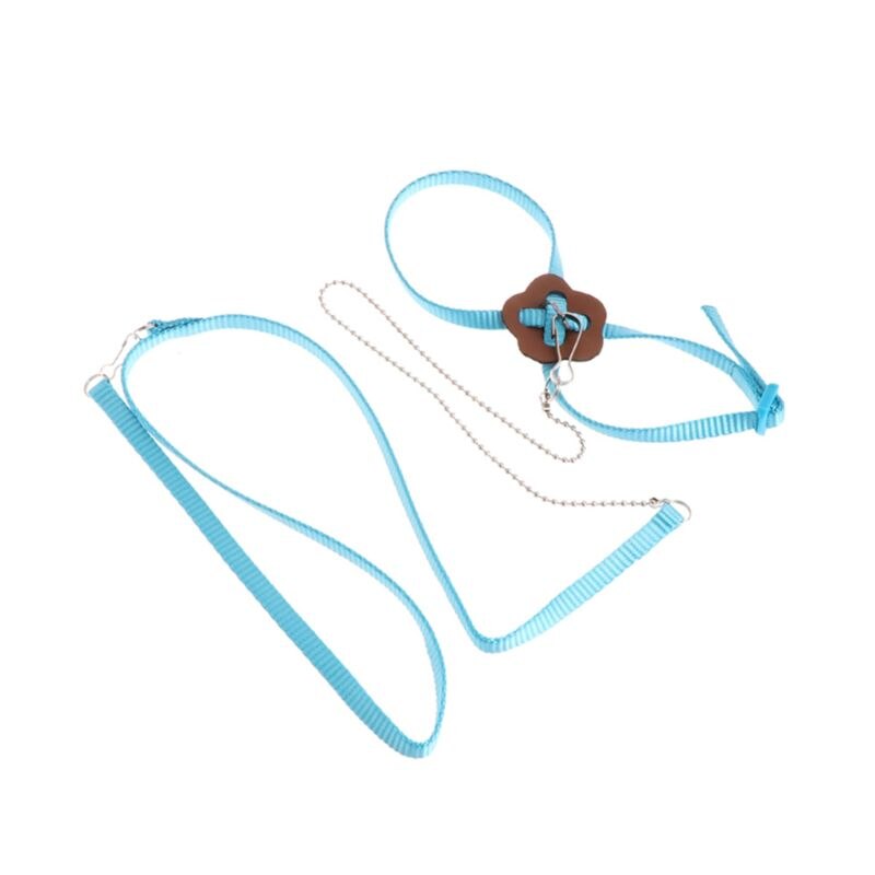 Laisse de harnais d'oiseau de perroquet pour animaux de compagnie corde d'entraînement réglable extérieure sangle de Traction Anti-vol bande souple Portable directe: Bleu