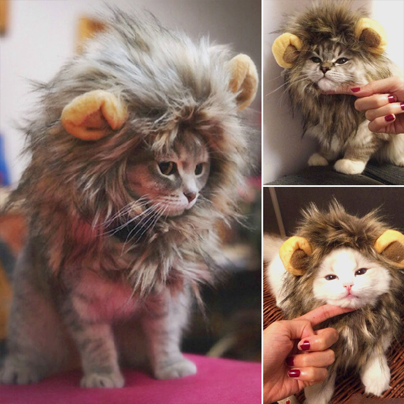 Perruque en crinière de Lion pour animaux de compagnie, chapeau, chat, mignon, décoration de noël, chien, chapeaux, Festival, fête, accessoires pour animaux de compagnie